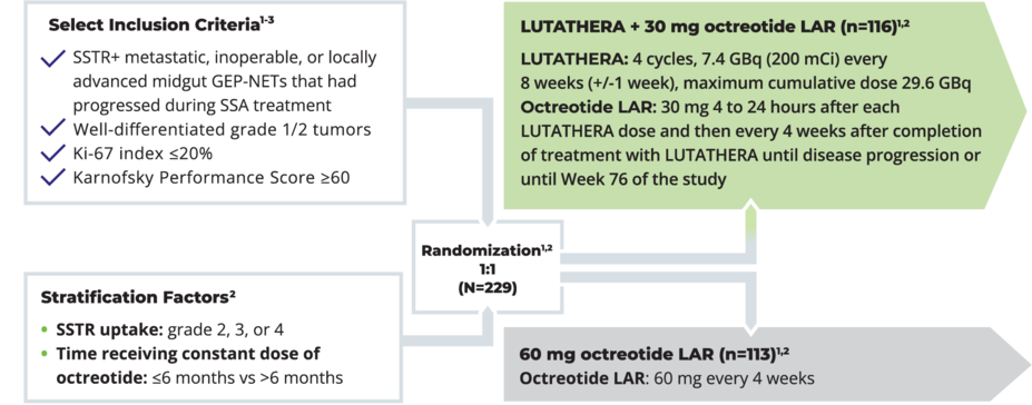 In NETTER-1, patients (N=229) were randomized 1:1 to receive either LUTATHERA + 30 mg octreotide LAR (n=116) every 8 weeks for 4 cycles or 60 mg octreotide LAR (n=113) every 4 weeks.