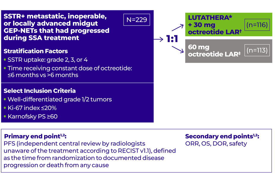 In NETTER-1, patients (N=229) were randomized 1:1 to receive either LUTATHERA + 30 mg octreotide LAR (n=116) every 8 weeks for 4 cycles or 60 mg octreotide LAR (n=113) every 4 weeks.